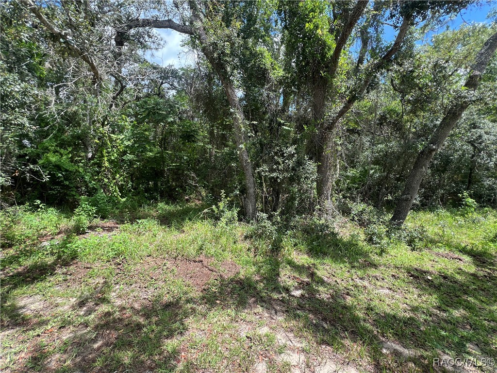 787 East Reehill Street Lecanto, FL 34461 - Photo 7 of 10 Front of lot