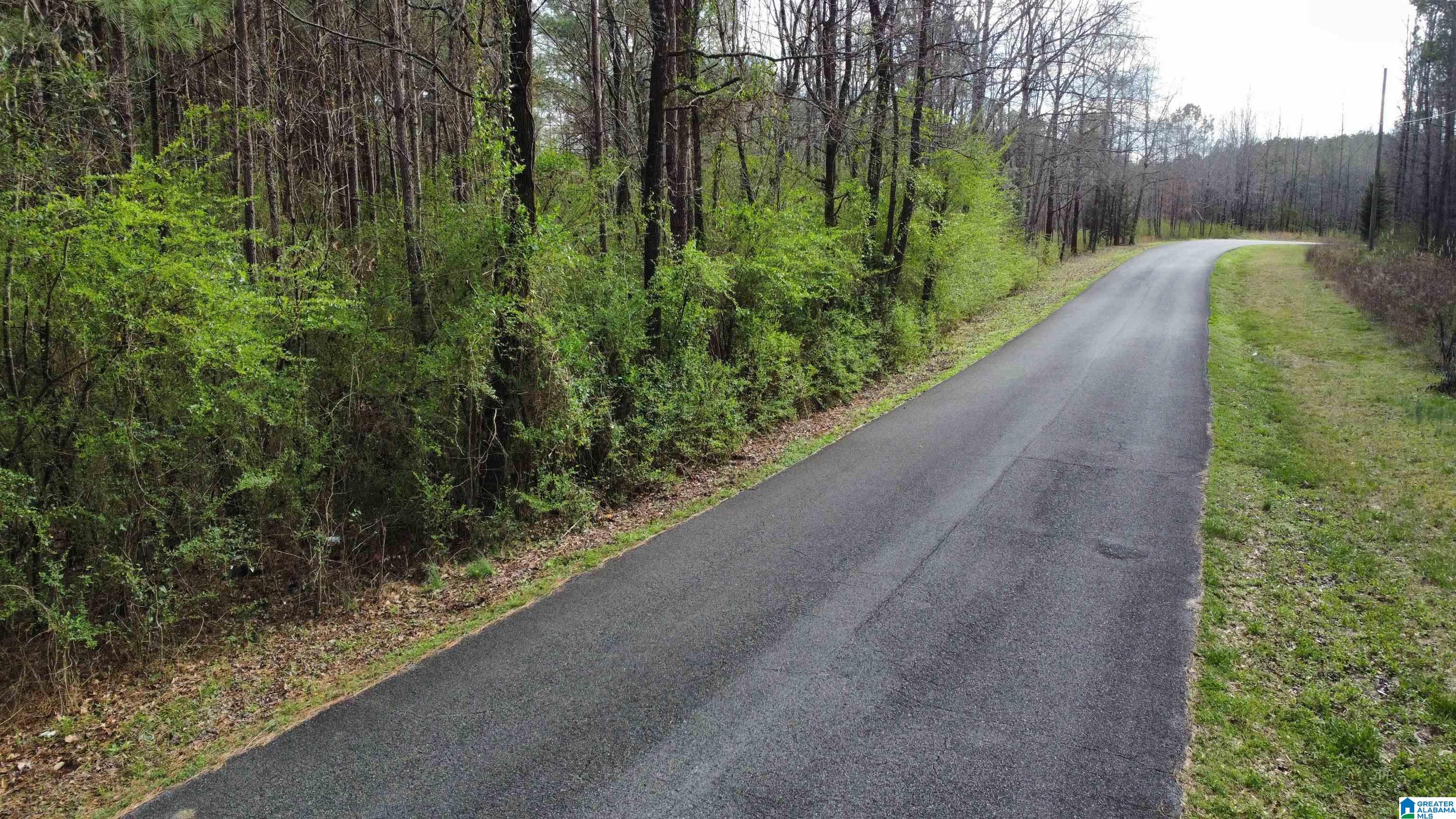 6388 Letson Lake Road, Unit 1 Bessemer, AL 35023 - Photo 1 of 20