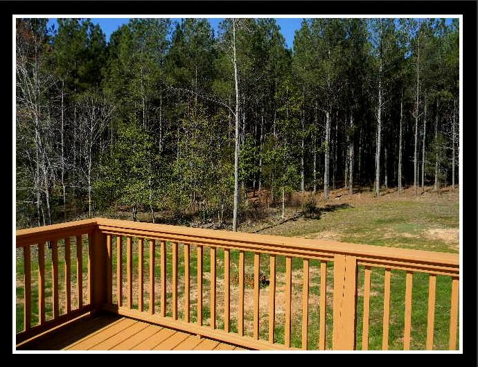 2202 Underwood Road Carthage, NC 28327 - Photo 36 of 49 deck 3