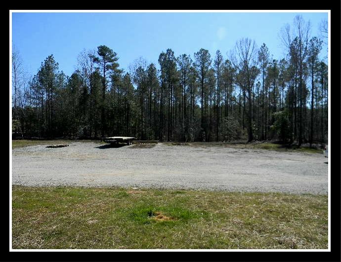 2202 Underwood Road Carthage, NC 28327 - Photo 46 of 49 side yard parking