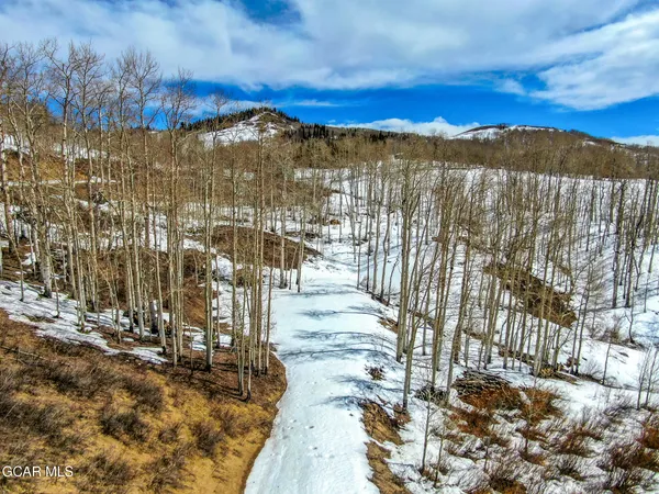 a view of a yard with an outdoor space