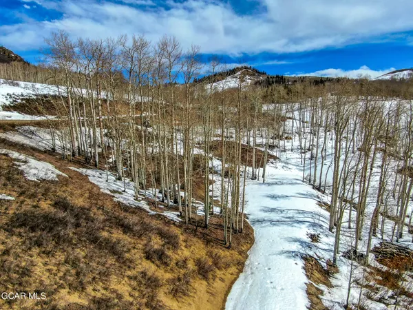 a view of a city with tall trees