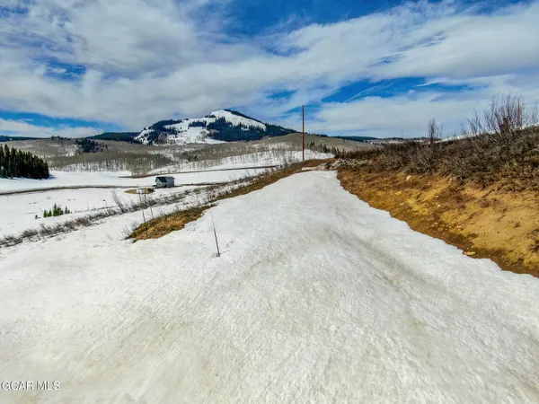a view of a park with a tree