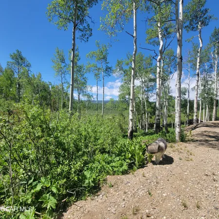 a view of a backyard of a house