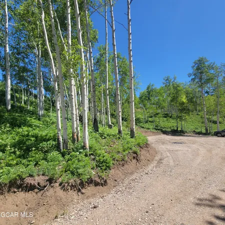 a view of a green field with an trees
