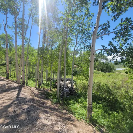 a view of a road with a yard