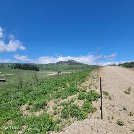 a view of a road with a yard