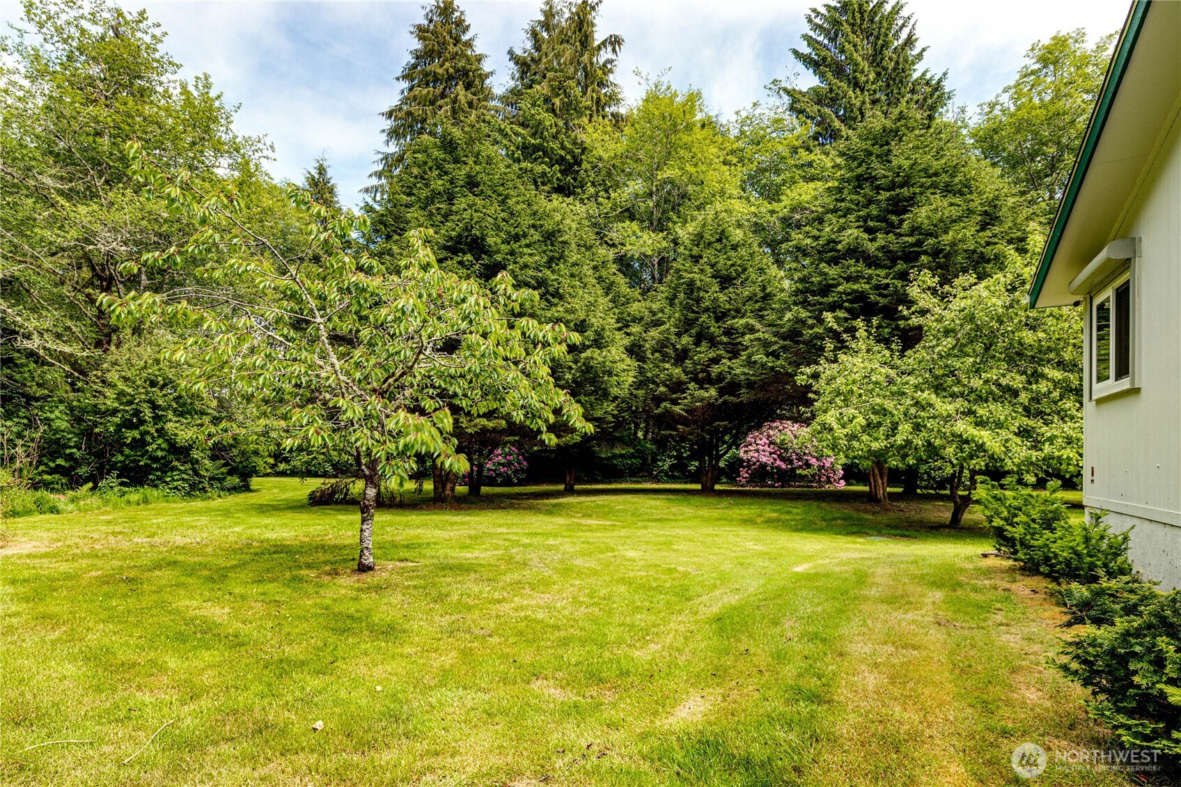 506 Richwine Road Forks, WA 98331 - Photo 24 of 40 Gallery Image 24