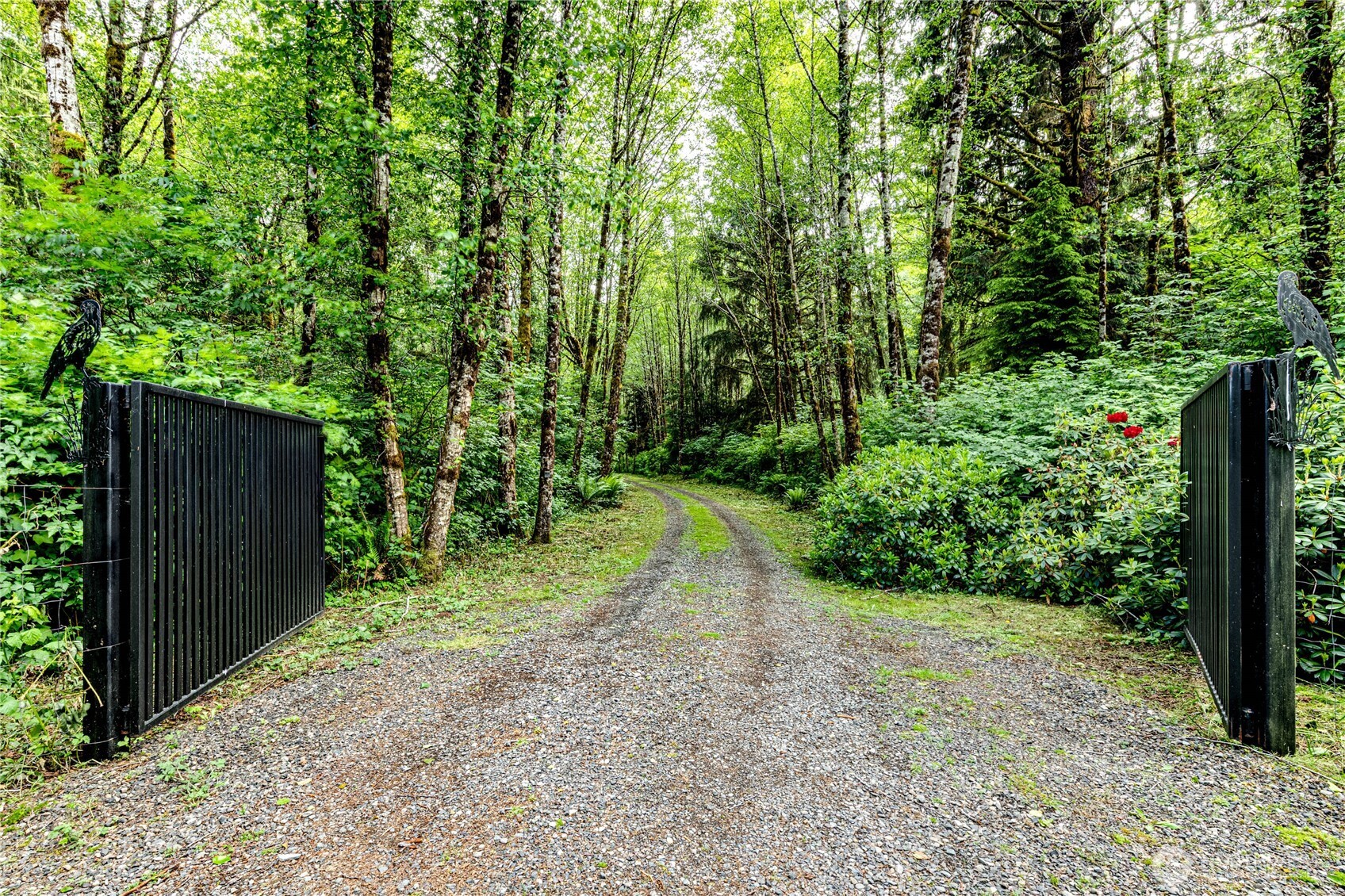 506 Richwine Road Forks, WA 98331 - Photo 3 of 40 Gallery Image 3