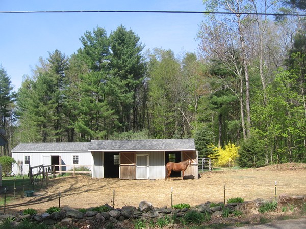 341 Kinnebrook Road Worthington, MA 01098 - Photo 5 of 12