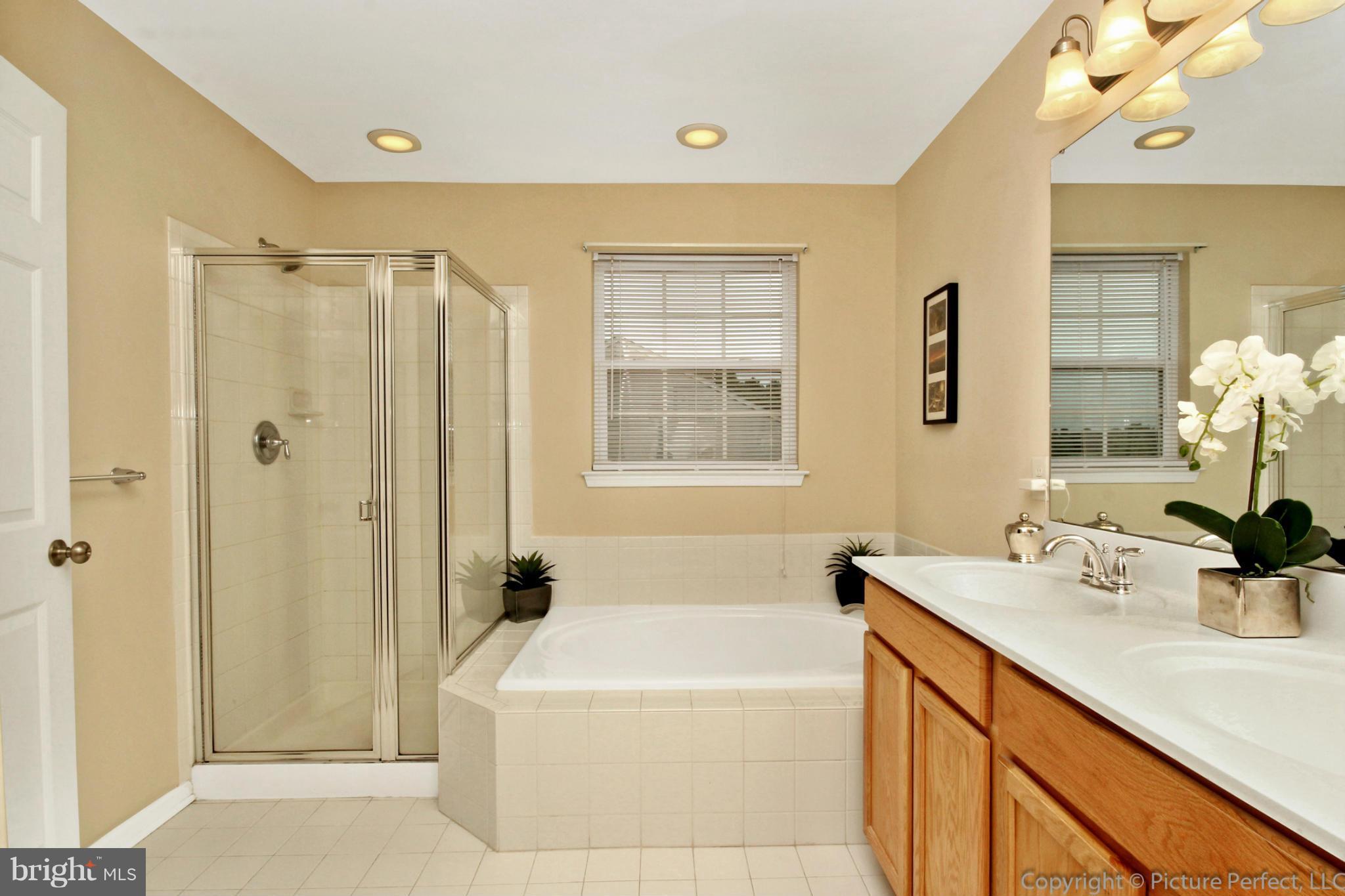 1103 Spring Run Court Frederick, MD 21702 - Photo 20 of 30 Bath (Master)