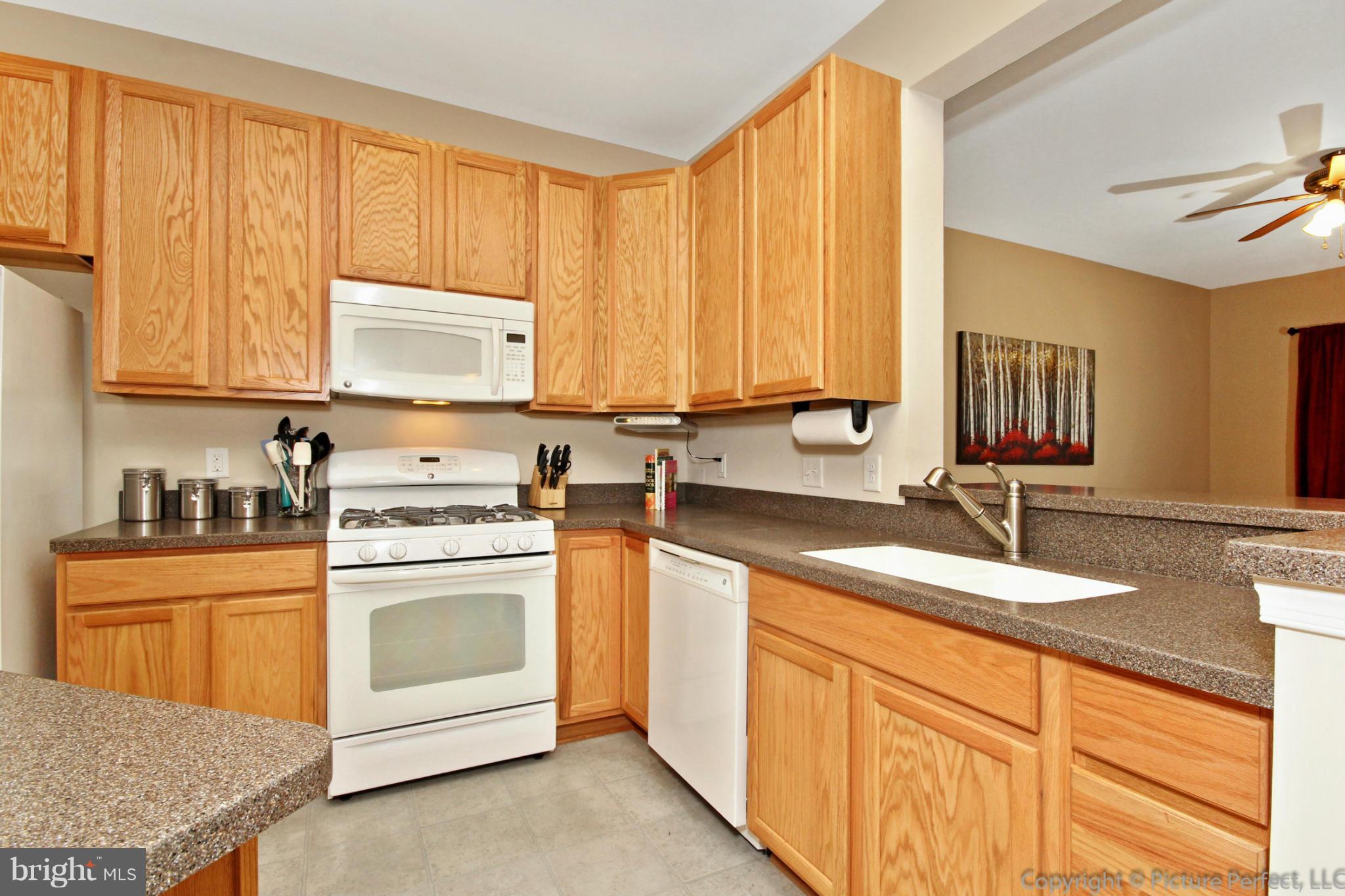 1103 Spring Run Court Frederick, MD 21702 - Photo 10 of 30 Kitchen