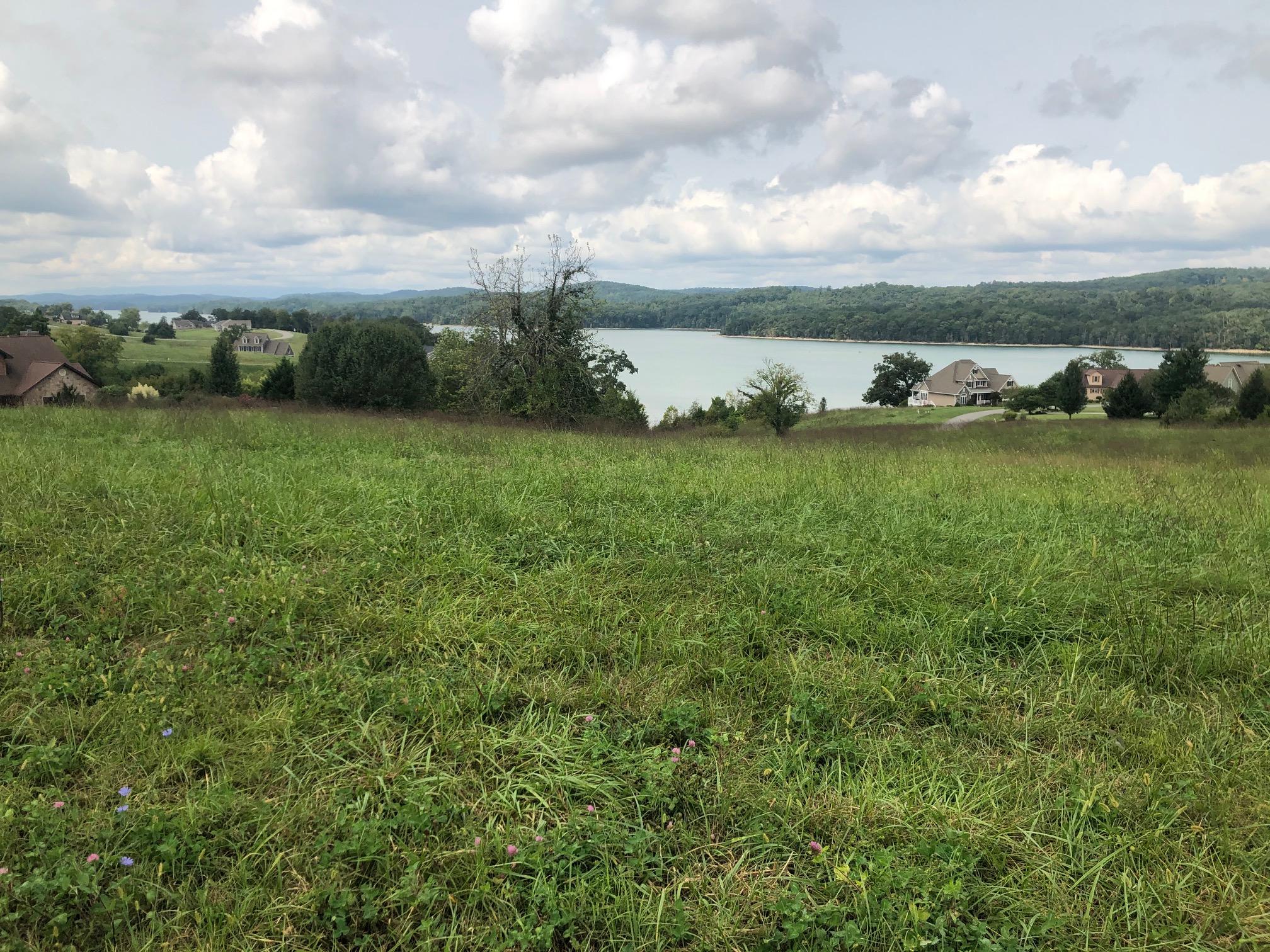 39 Fishers Loop Sharps Chapel, TN 37866 - Photo 11 of 36 Lot #39 - Sunset Bay, Norris Lake