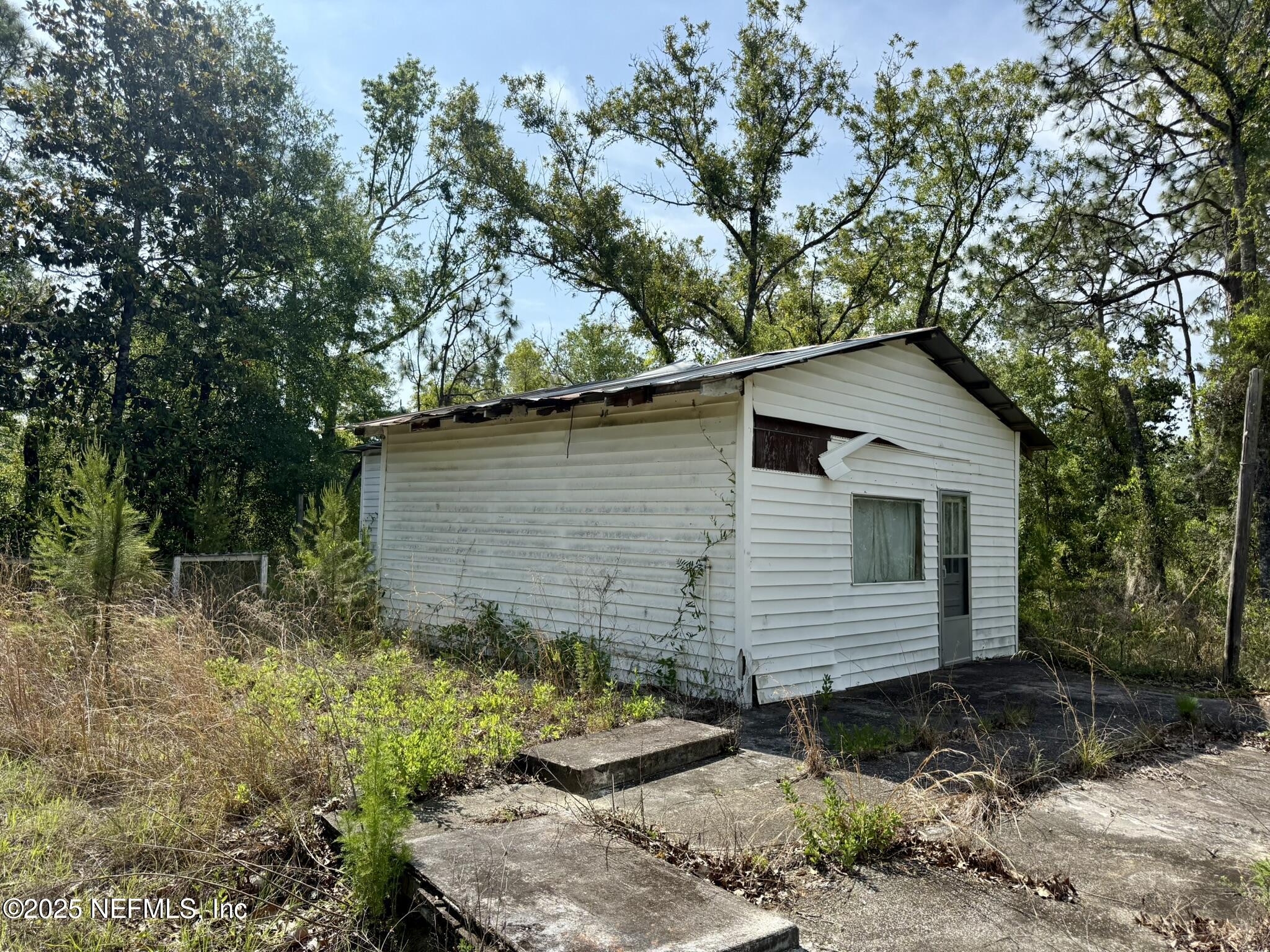 116 Palm Drive Interlachen, FL 32148 - Photo 2 of 6 a backyard of a house with plants and tree