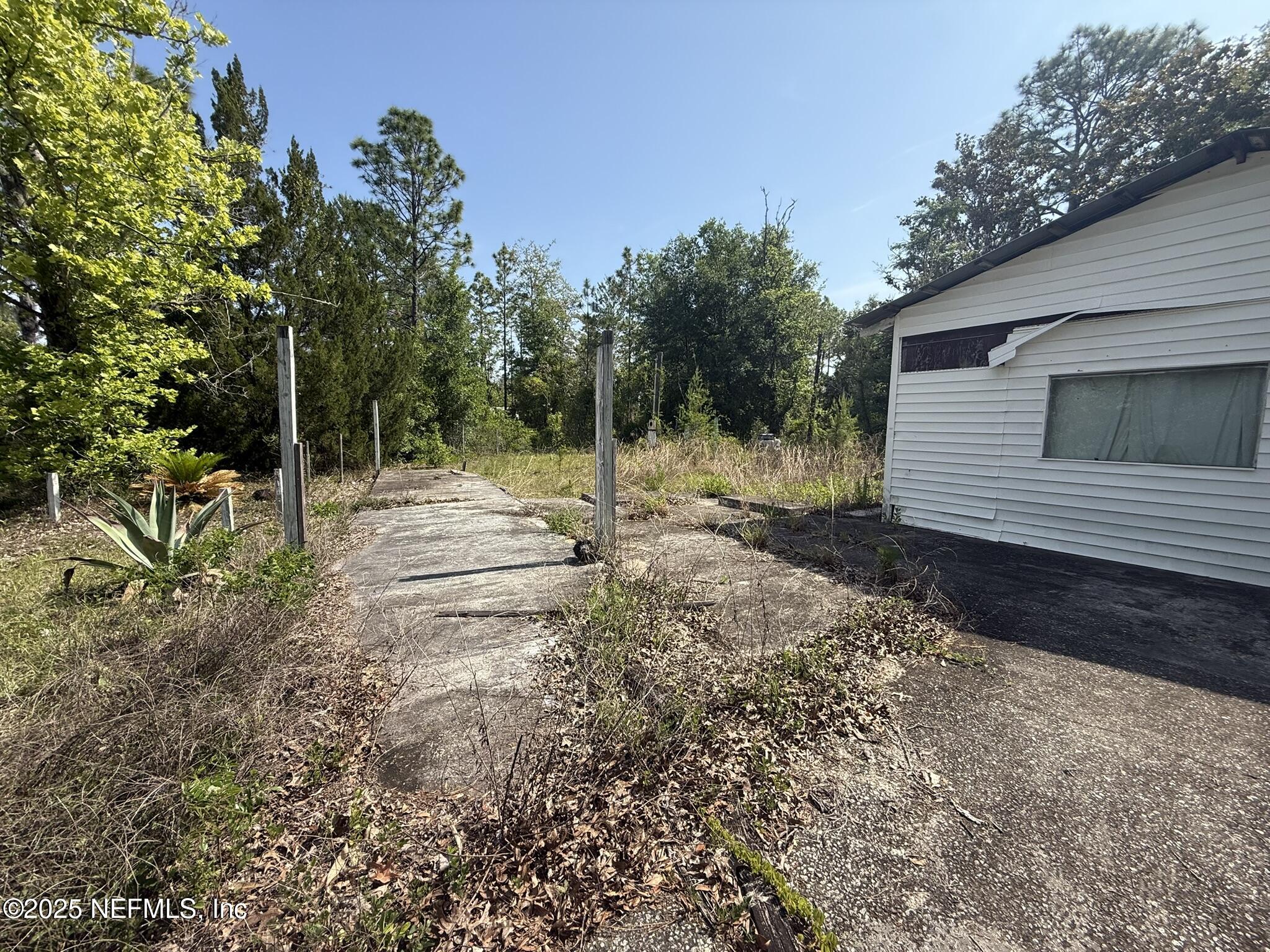 116 Palm Drive Interlachen, FL 32148 - Photo 4 of 6 a view of outdoor space and yard