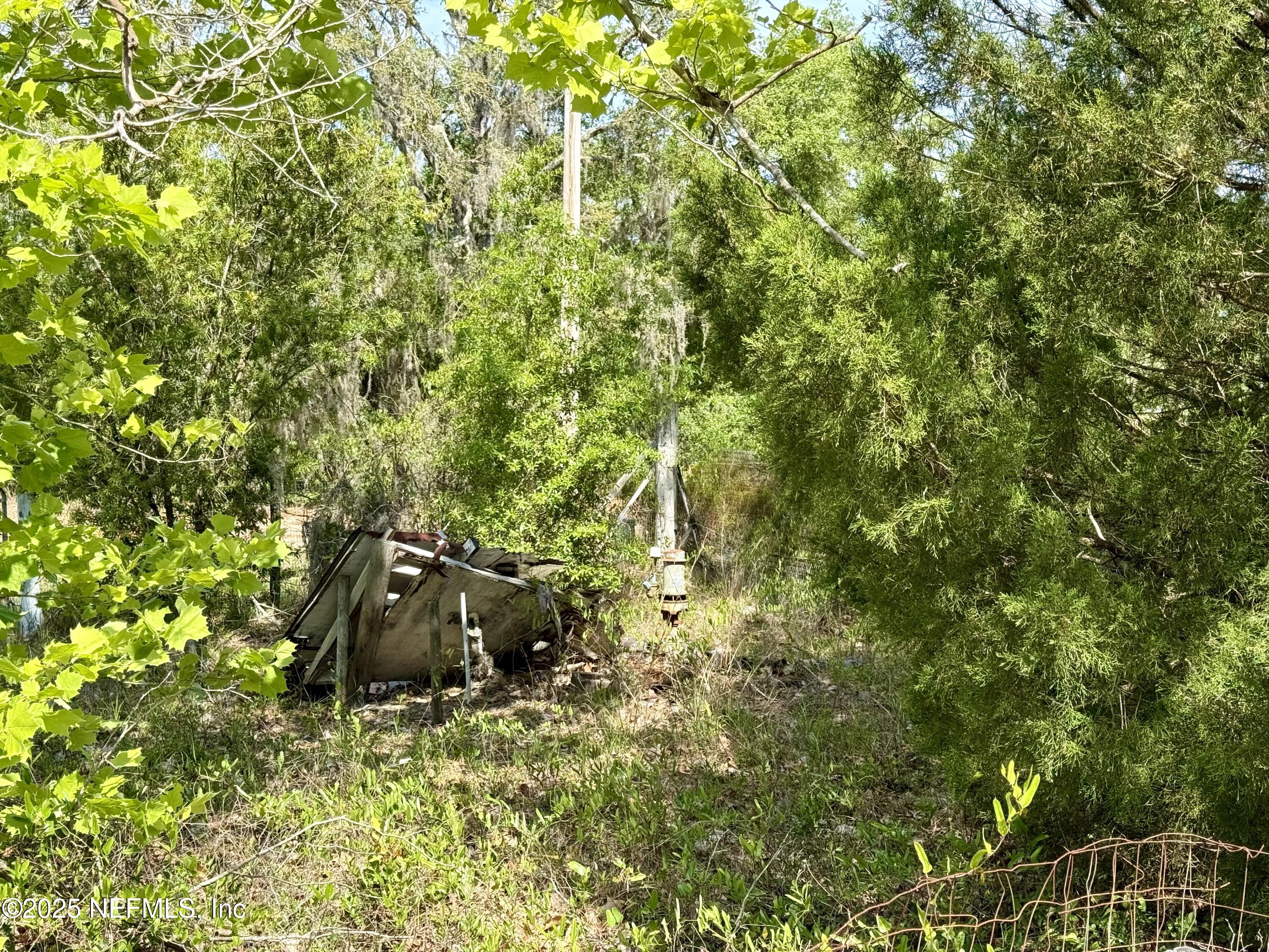 116 Palm Drive Interlachen, FL 32148 - Photo 5 of 6 a backyard of a house with table and chairs