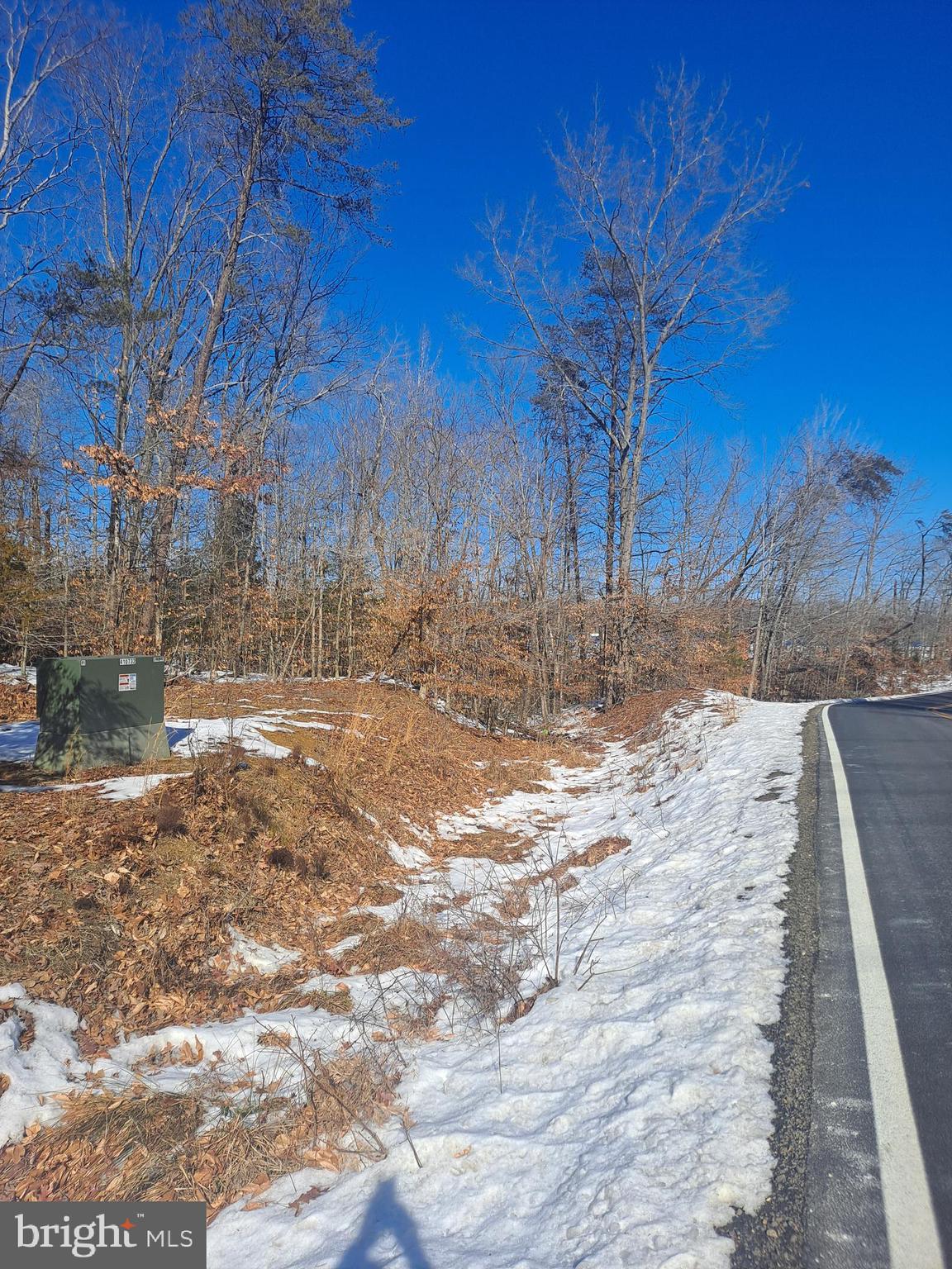 Ripley Road La Plata, MD 20646 - Photo 4 of 9 a view of yard