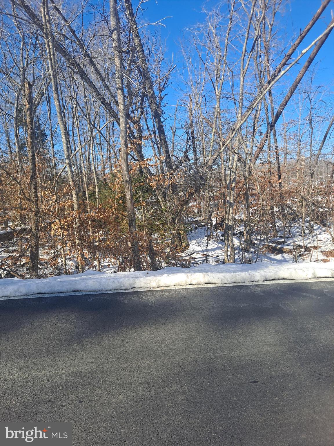 Ripley Road La Plata, MD 20646 - Photo 6 of 9