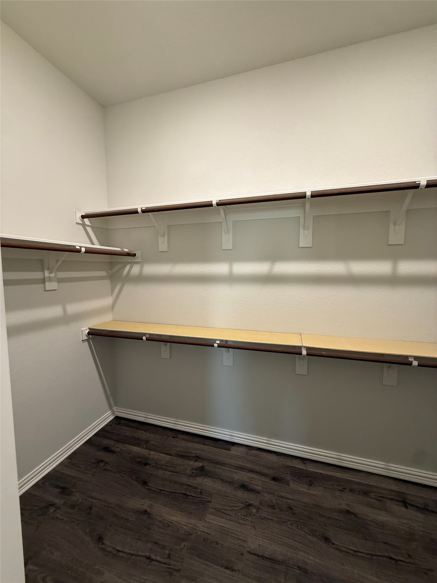 13627 Barn Chime Street Elgin, TX 78621 - Photo 6 of 14 Main closet