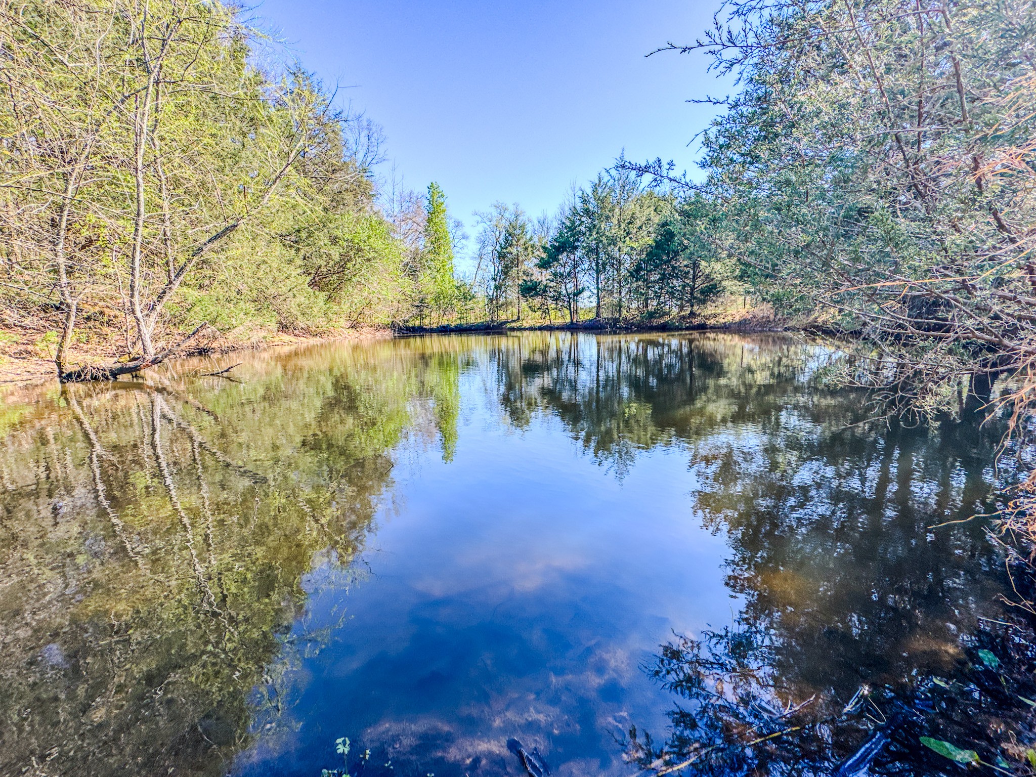 410 Britton Hollow Road Pulaski, TN 38478 - Photo 11 of 59