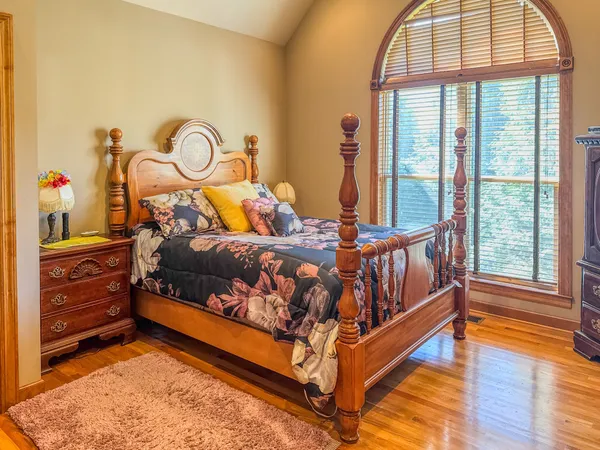 a view of a field with a tree in the background