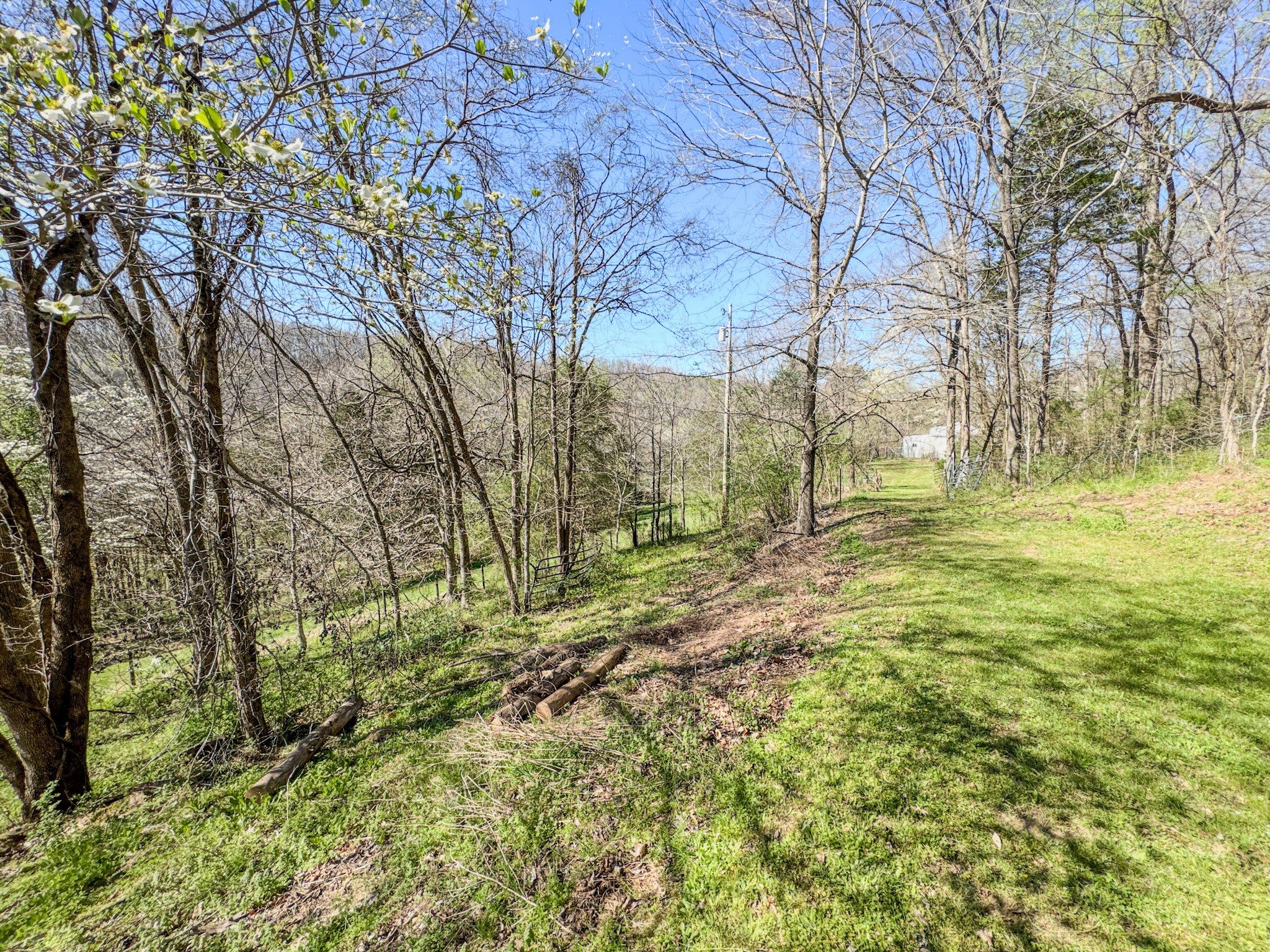 410 Britton Hollow Road Pulaski, TN 38478 - Photo 31 of 59 a backyard of a house with lots of green space