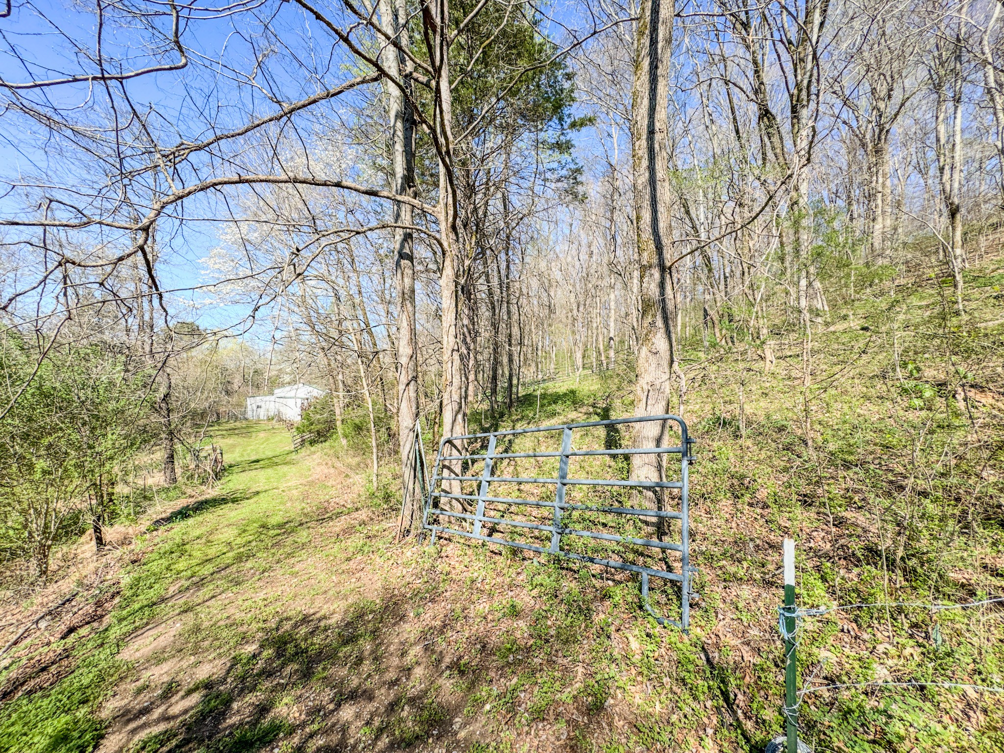 410 Britton Hollow Road Pulaski, TN 38478 - Photo 32 of 59 a view of residential houses with tree and wooden fence