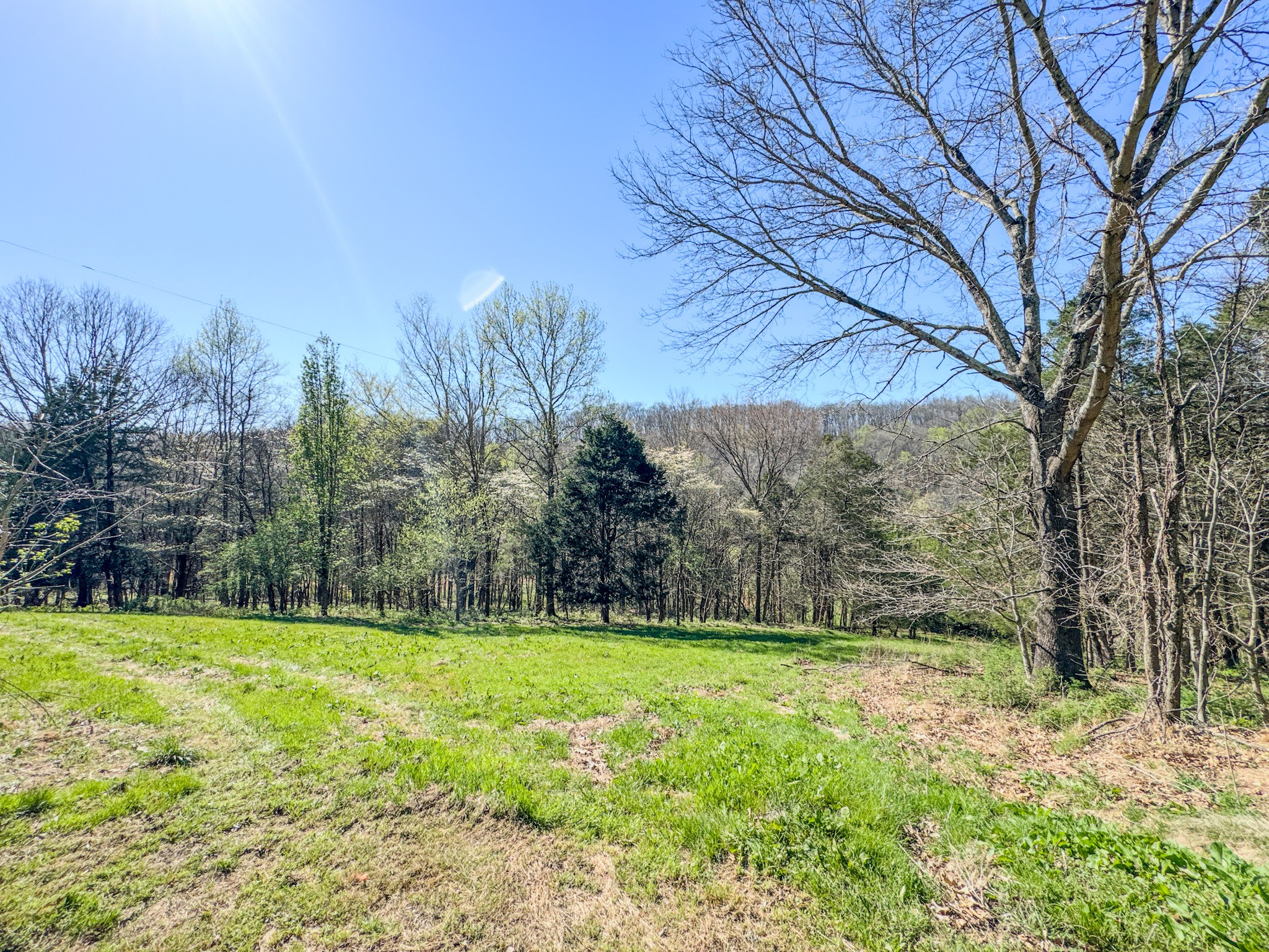 410 Britton Hollow Road Pulaski, TN 38478 - Photo 33 of 59 a view of swimming pool with trees in the background