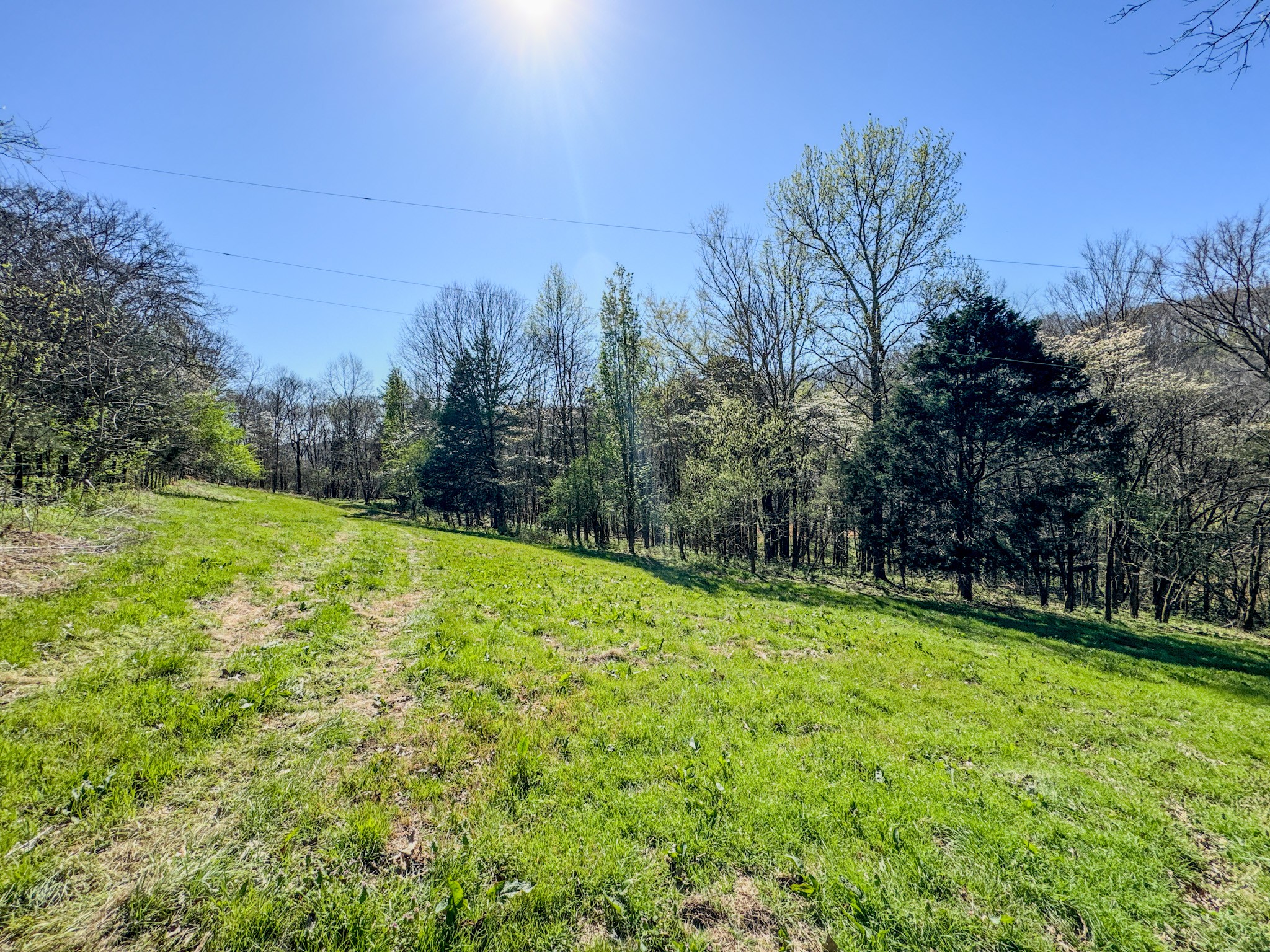 410 Britton Hollow Road Pulaski, TN 38478 - Photo 34 of 59 a view of a field with a tree in the background