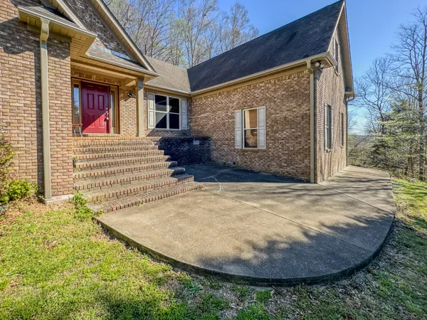 a view of a park with large trees