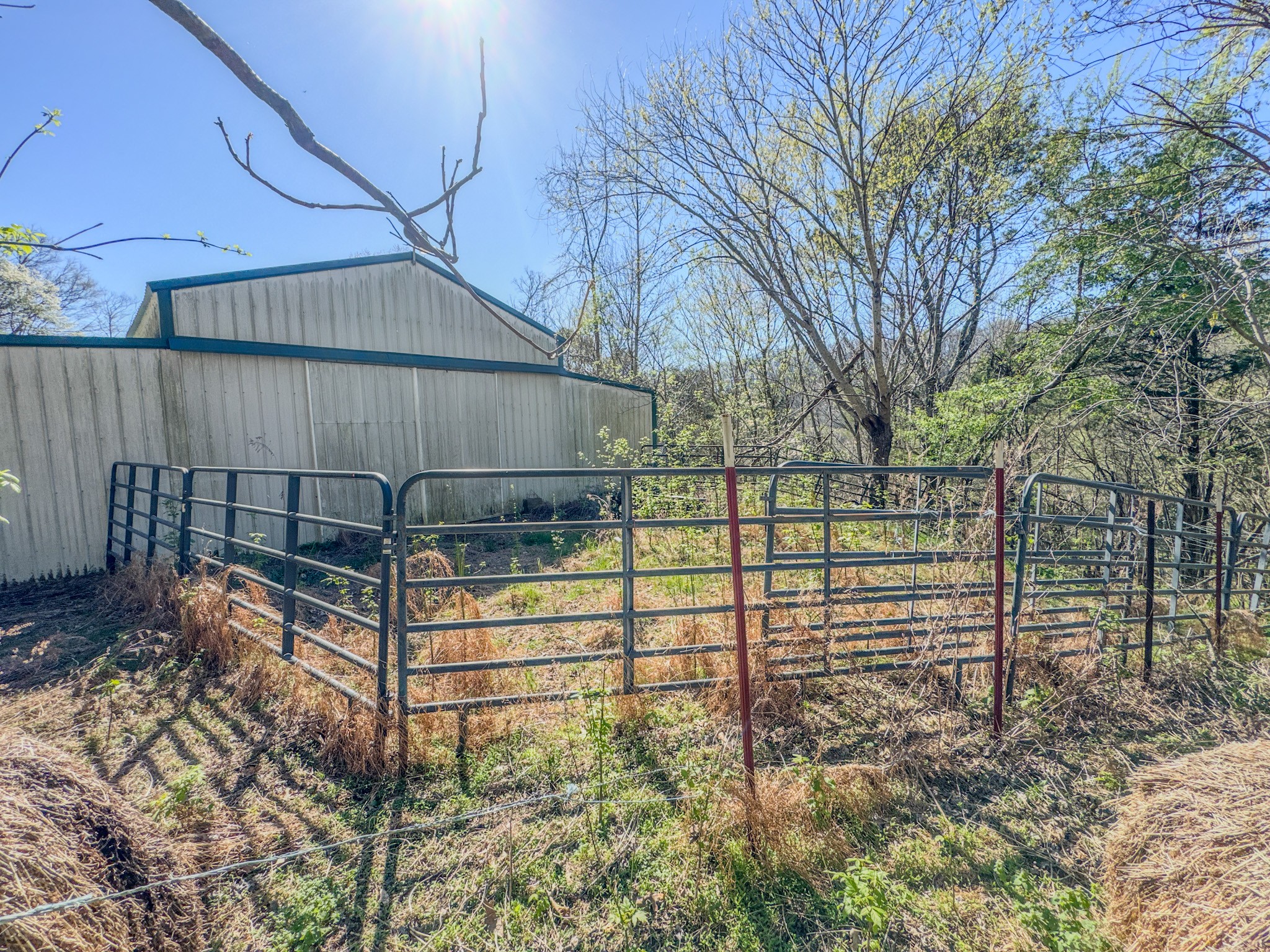 410 Britton Hollow Road Pulaski, TN 38478 - Photo 41 of 59 a view of a backyard