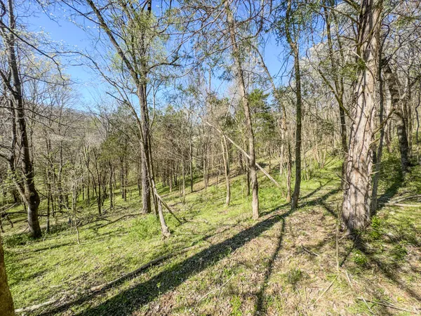 $699,000 | 410 Britton Hollow Road, Pulaski, TN 38478