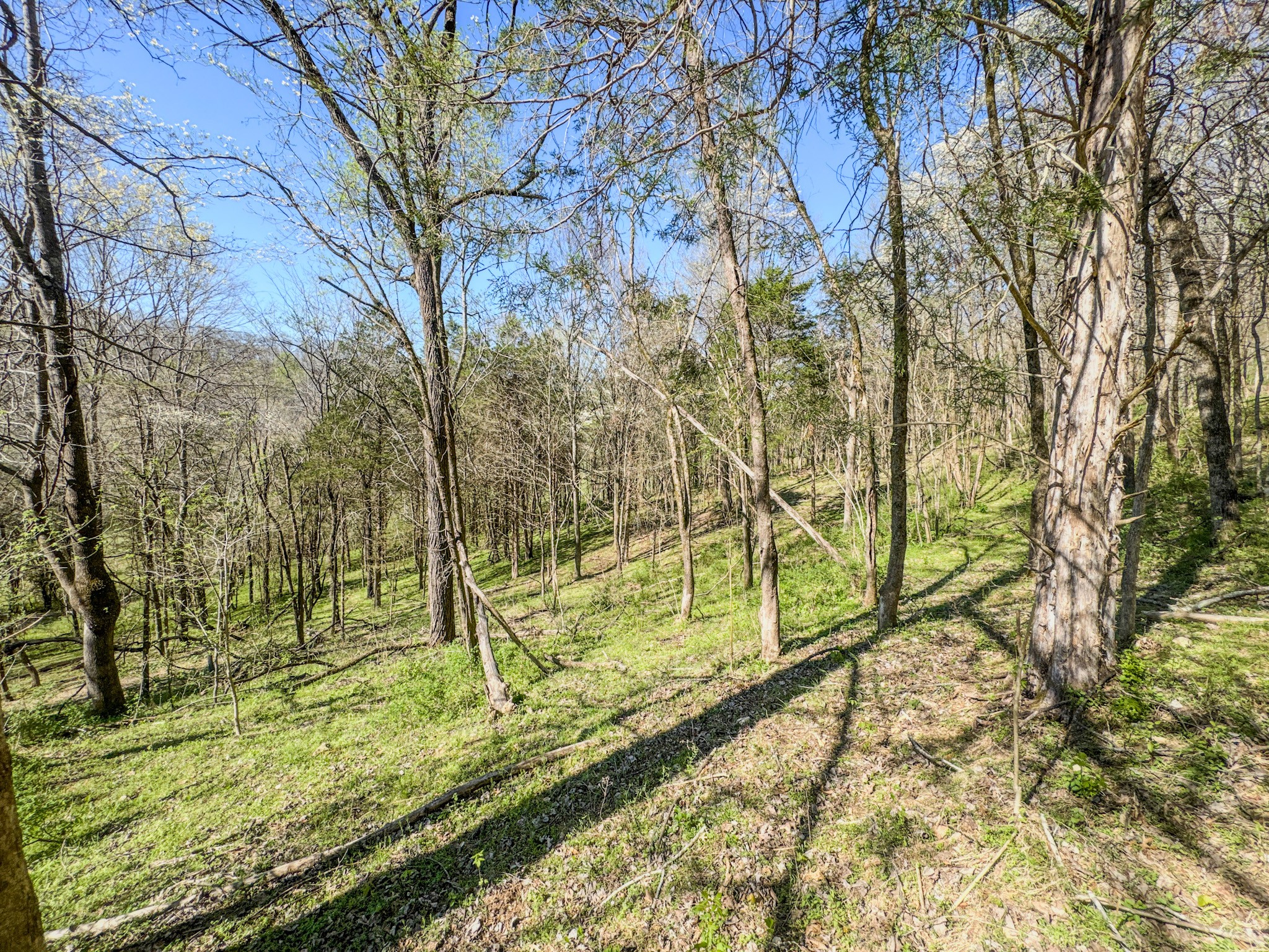 410 Britton Hollow Road Pulaski, TN 38478 - Photo 43 of 59