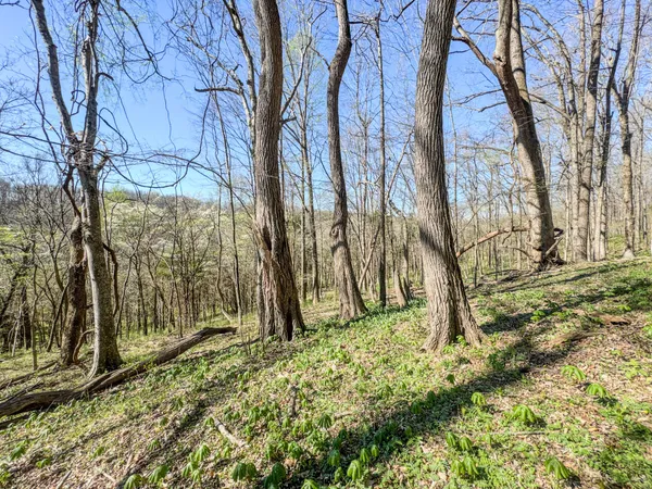 $699,000 | 410 Britton Hollow Road, Pulaski, TN 38478