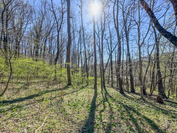 $699,000 | 410 Britton Hollow Road, Pulaski, TN 38478