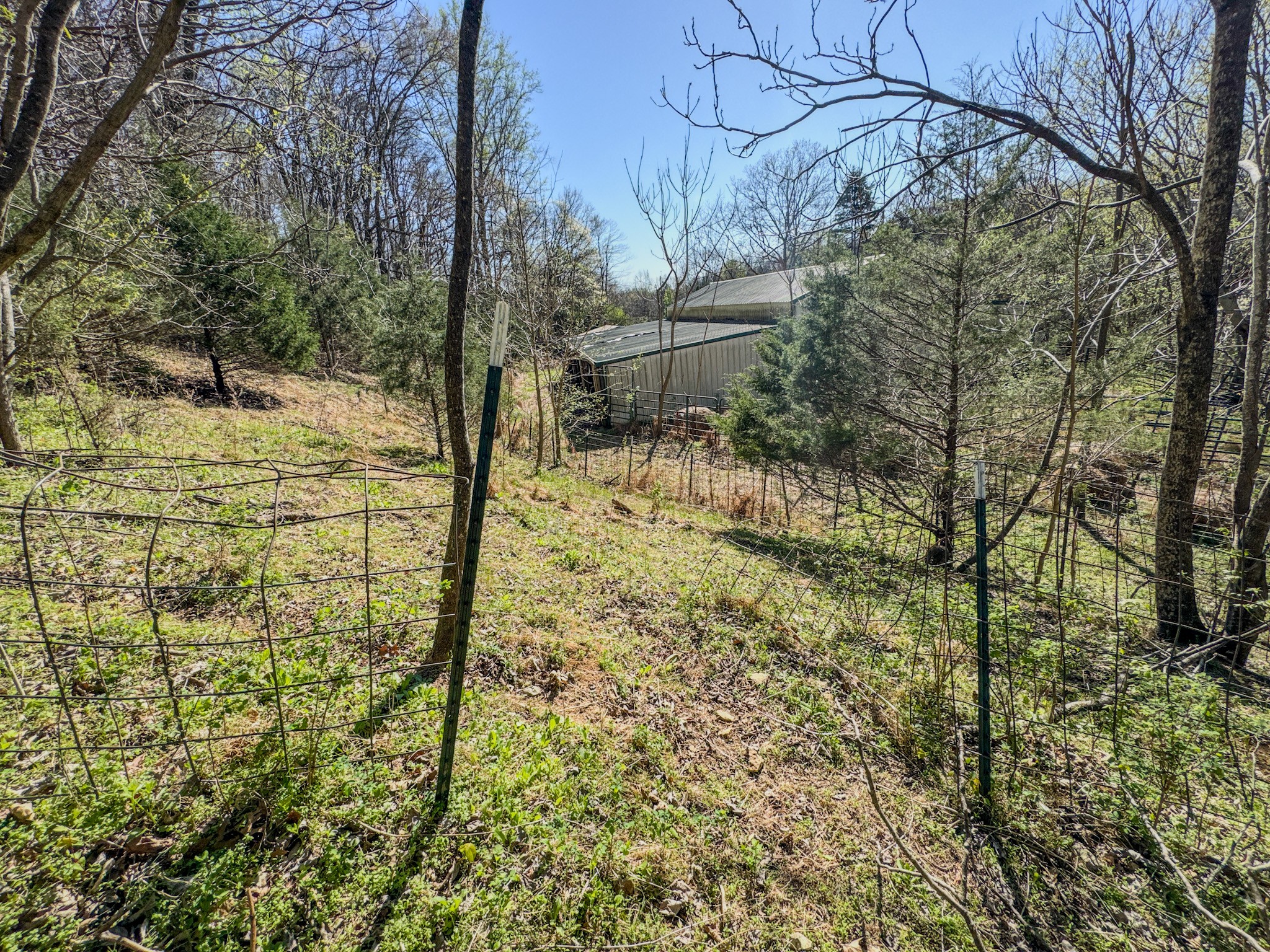 410 Britton Hollow Road Pulaski, TN 38478 - Photo 48 of 59 a backyard of a house with lots of green space