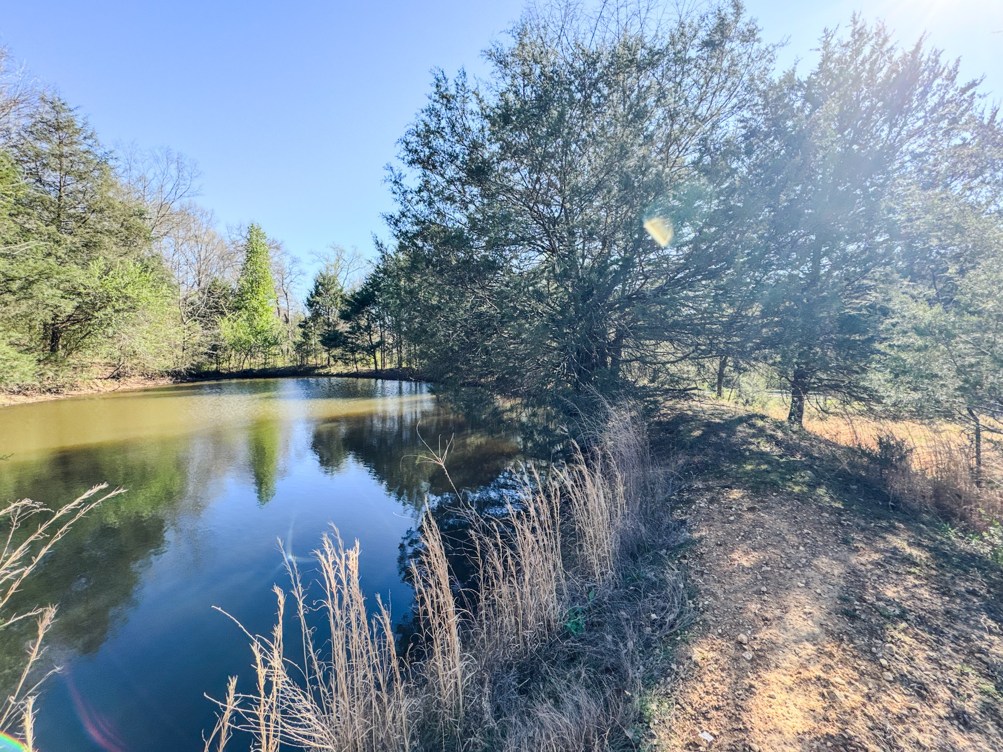410 Britton Hollow Road Pulaski, TN 38478 - Photo 49 of 59 a view of a lake with a trees