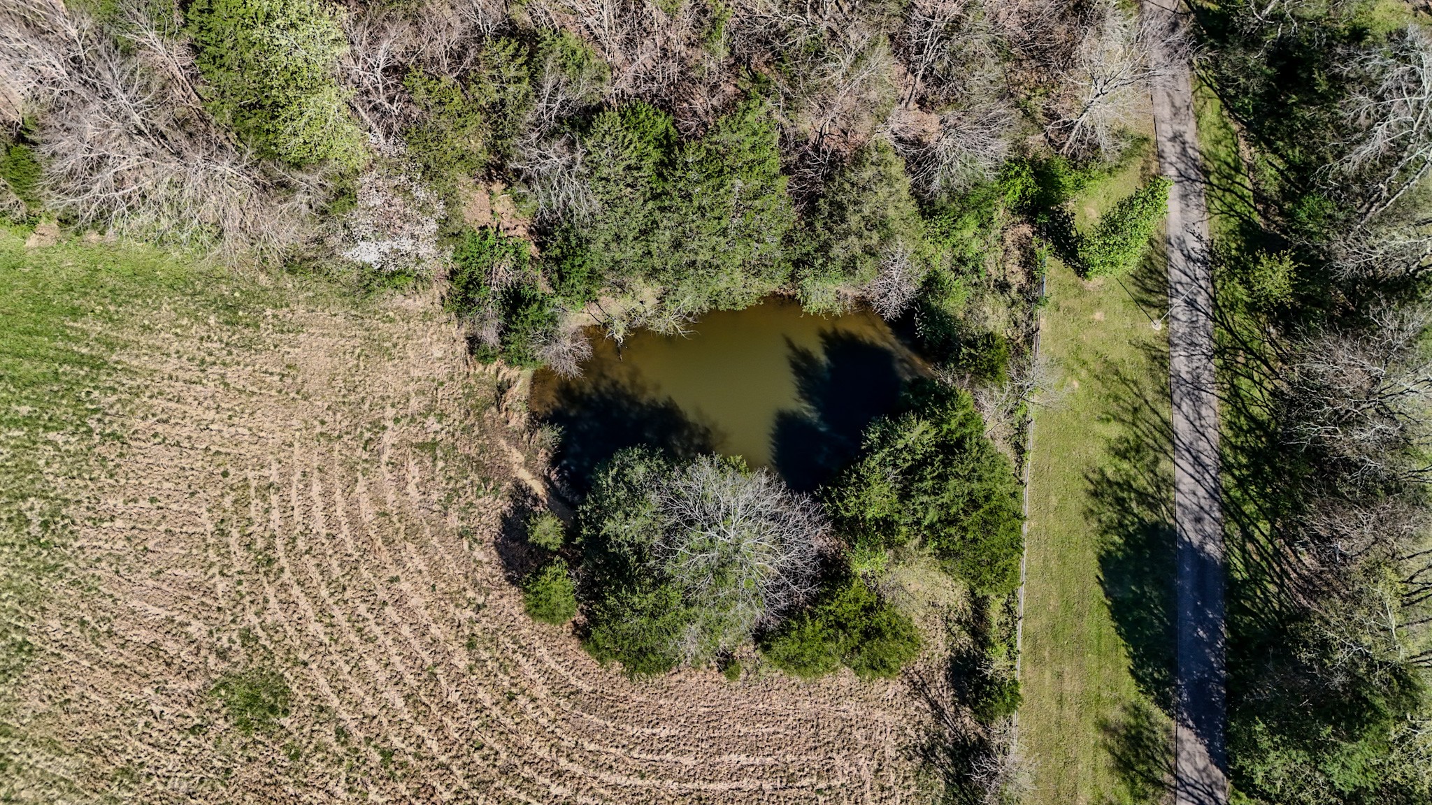 410 Britton Hollow Road Pulaski, TN 38478 - Photo 50 of 59