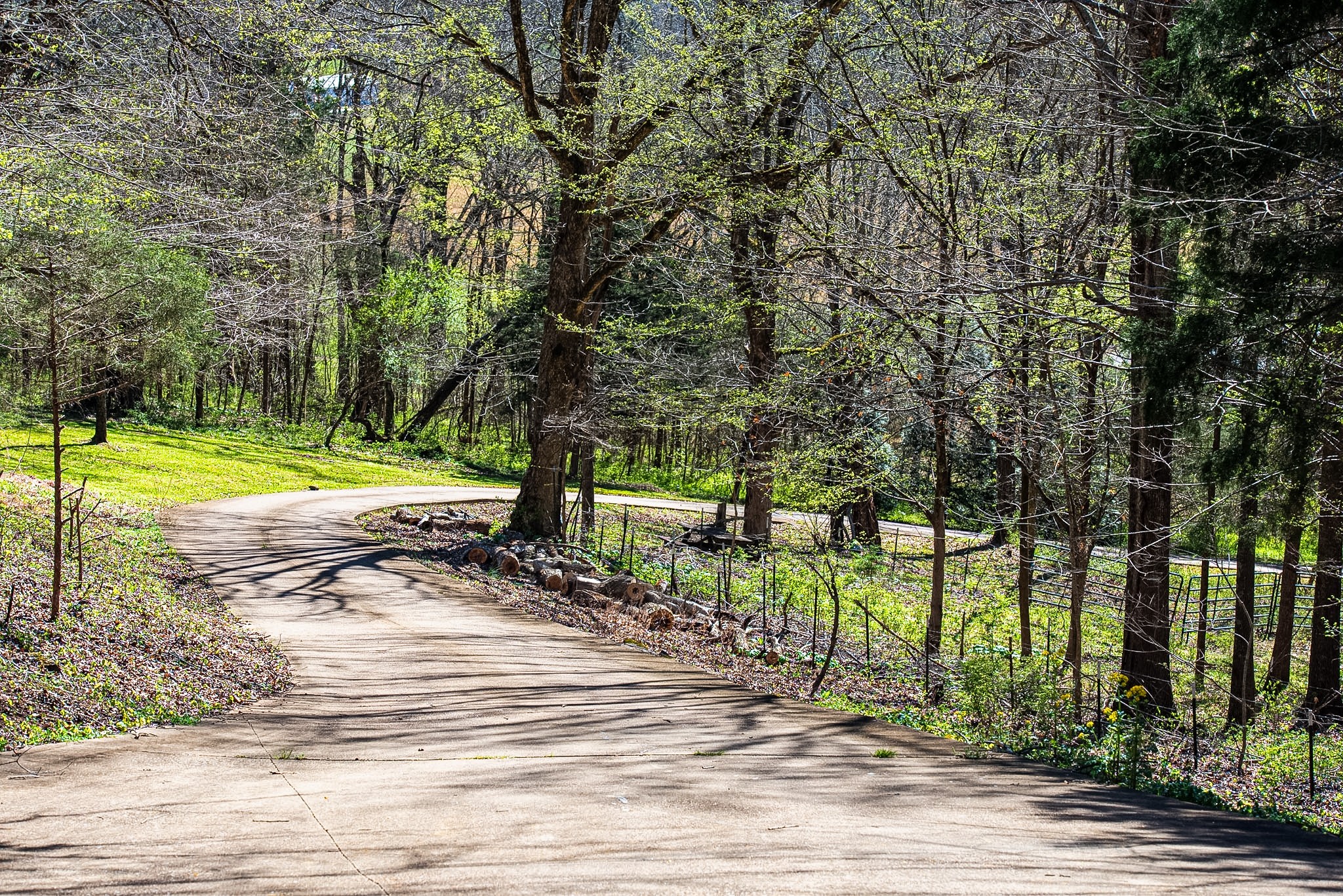 410 Britton Hollow Road Pulaski, TN 38478 - Photo 5 of 59 a view of a park with large trees