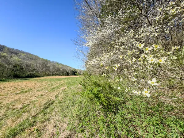 $699,000 | 410 Britton Hollow Road, Pulaski, TN 38478