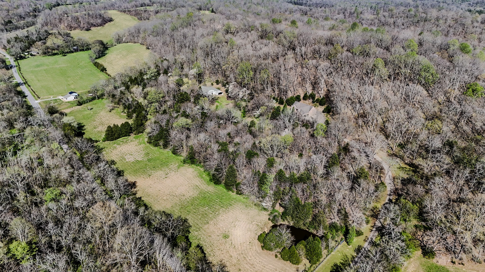 410 Britton Hollow Road Pulaski, TN 38478 - Photo 53 of 59 a view of a lake in between large trees