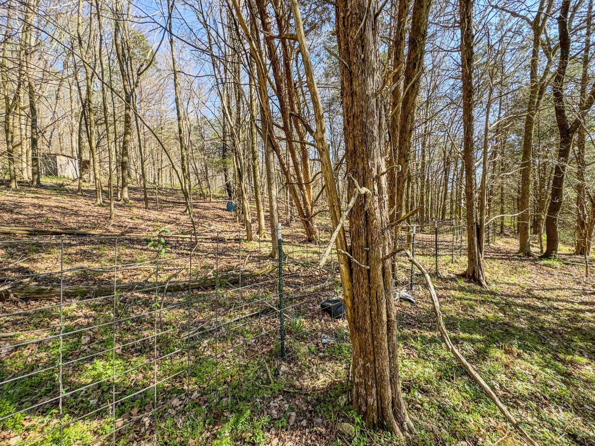 410 Britton Hollow Road Pulaski, TN 38478 - Photo 55 of 59 a view of yard