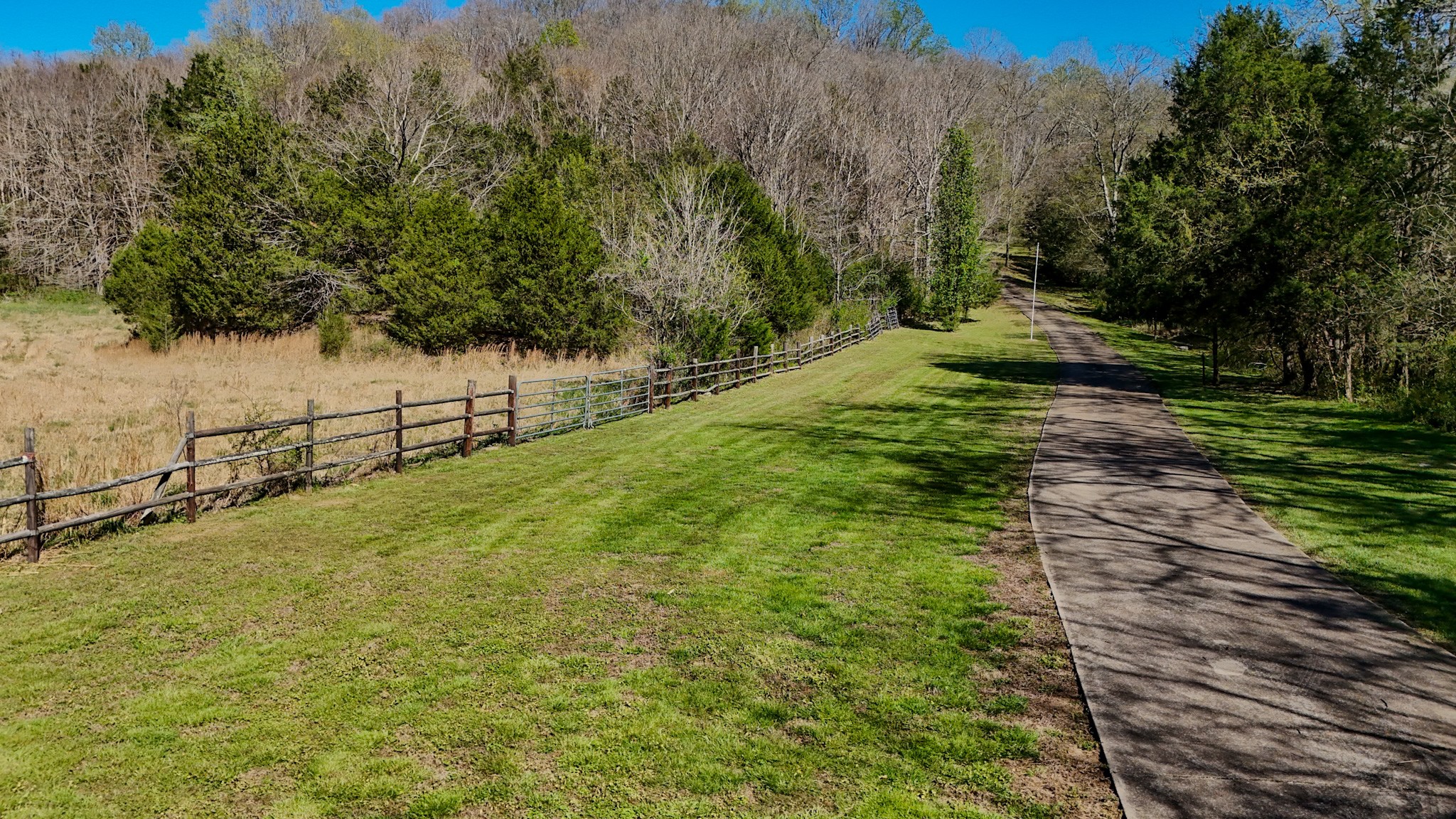 410 Britton Hollow Road Pulaski, TN 38478 - Photo 56 of 59 a view of a yard with an trees