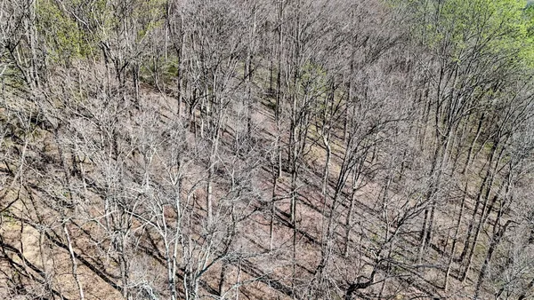 $699,000 | 410 Britton Hollow Road, Pulaski, TN 38478