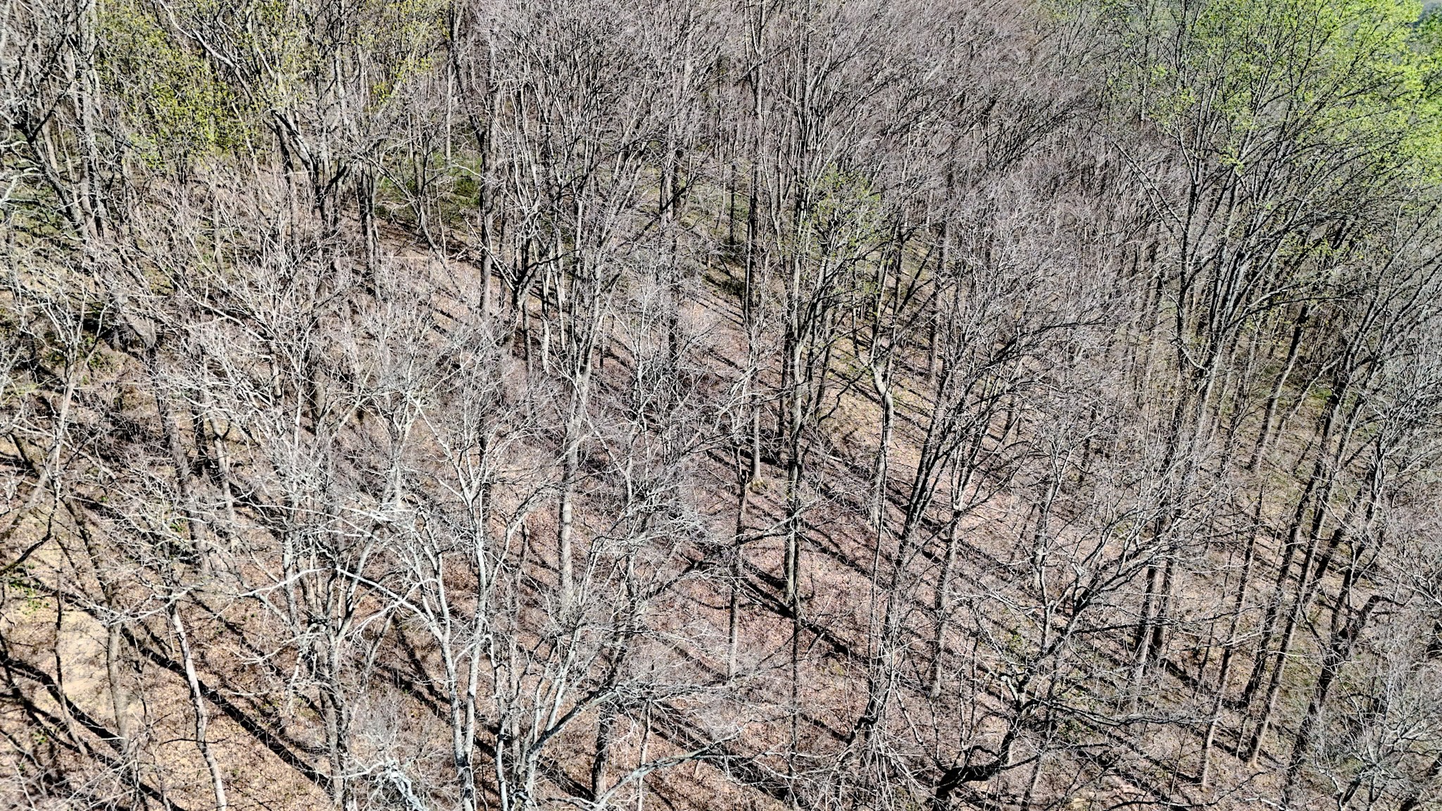 410 Britton Hollow Road Pulaski, TN 38478 - Photo 57 of 59