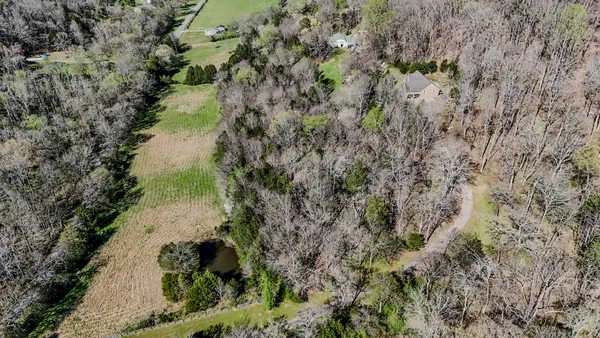 a view of a yard with a tree