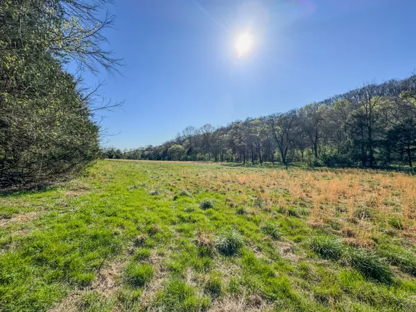 a view of yard with green space