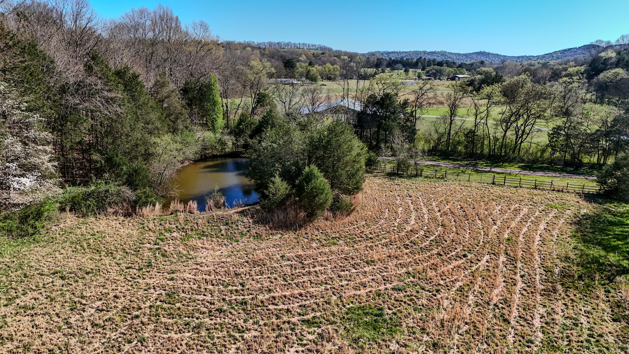 410 Britton Hollow Road Pulaski, TN 38478 - Photo 10 of 59 a view of a yard with a tree