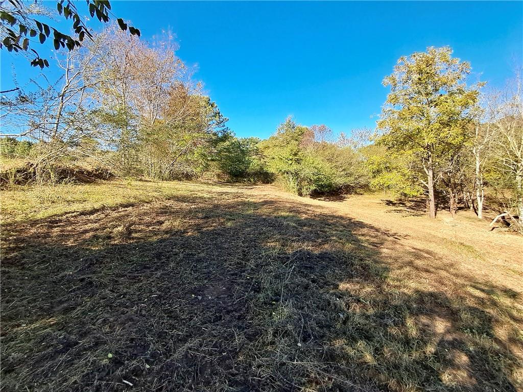 681 Mullinax Road Jasper, GA 30143 - Photo 11 of 36