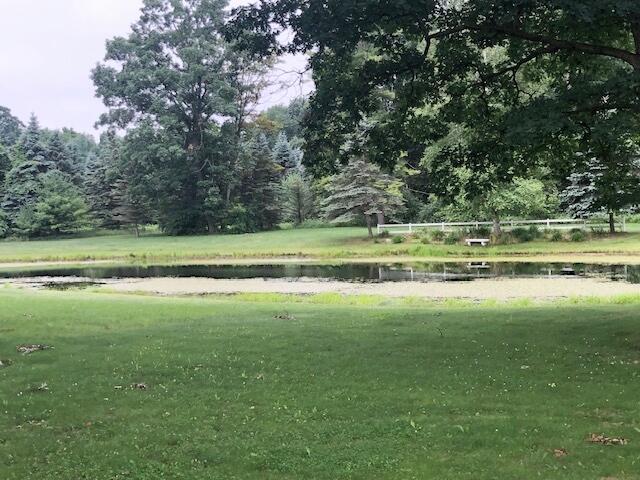 5101 Grow Road Northwest Stanton, MI 48888 - Photo 7 of 23 7 Large pond